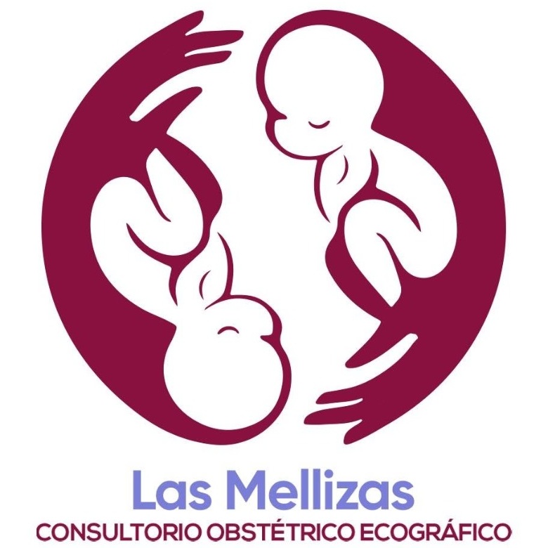 Consultorio Obstétrico Ecográfico Las Mellizas Perú S.A.C.